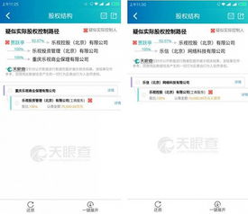 乐视金融迷局 谁是神秘借款人？